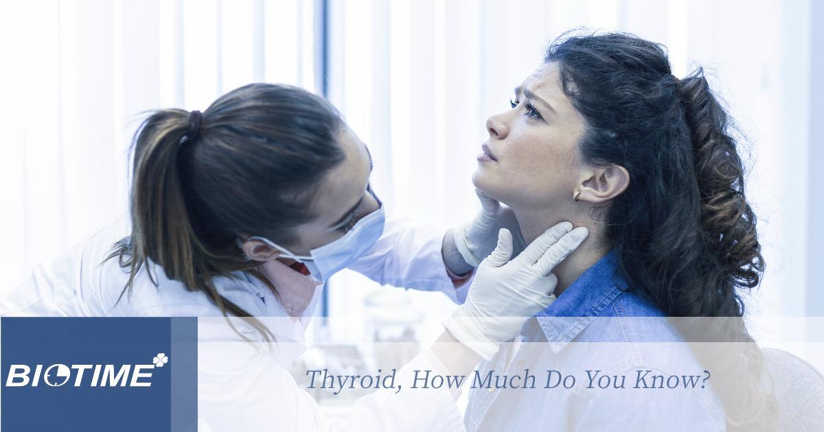 Щитовидная железа, как много вы знаете?
